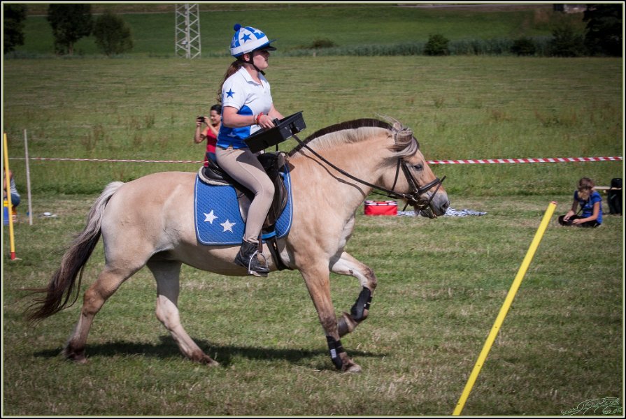Mounted Games 313